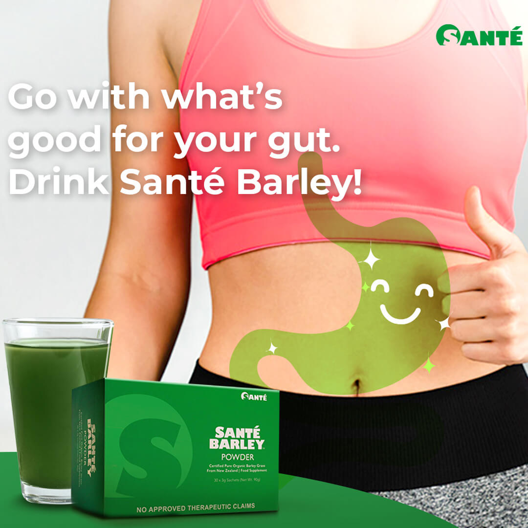 sante barley juice benefits