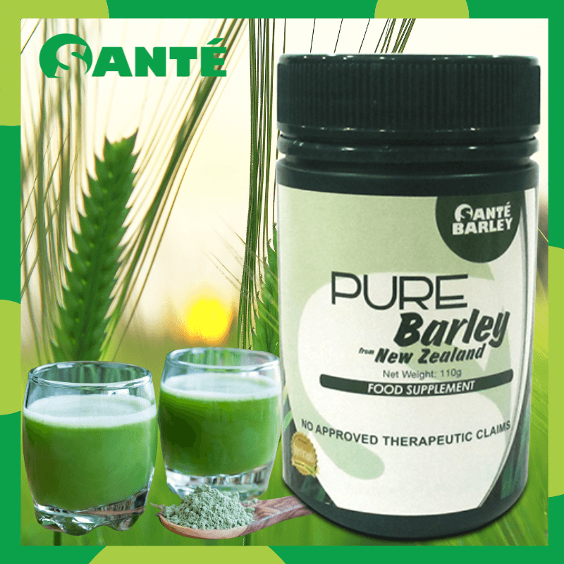 sante barley powder in canister